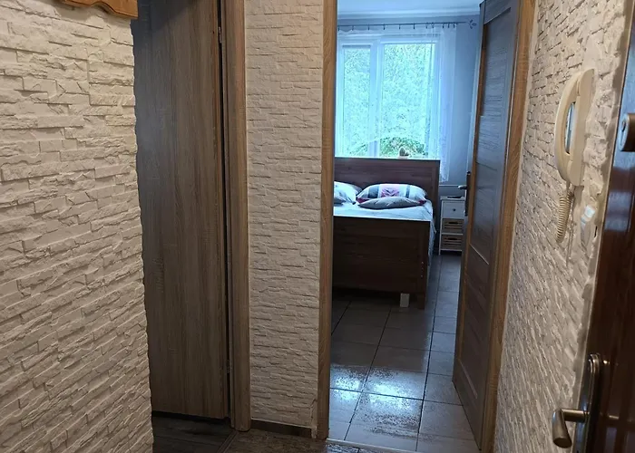 Przy Parku Apartament *